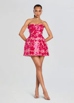 ALIRA LACE DRESS
